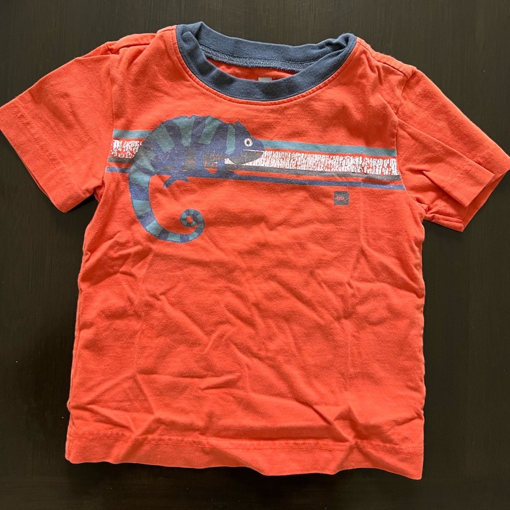 Tea Collection Boys T- Shirt - Size 2